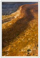 Grand Prismatic Spring